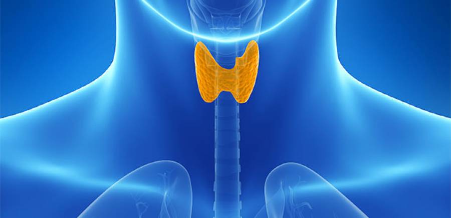 glandula tiroide