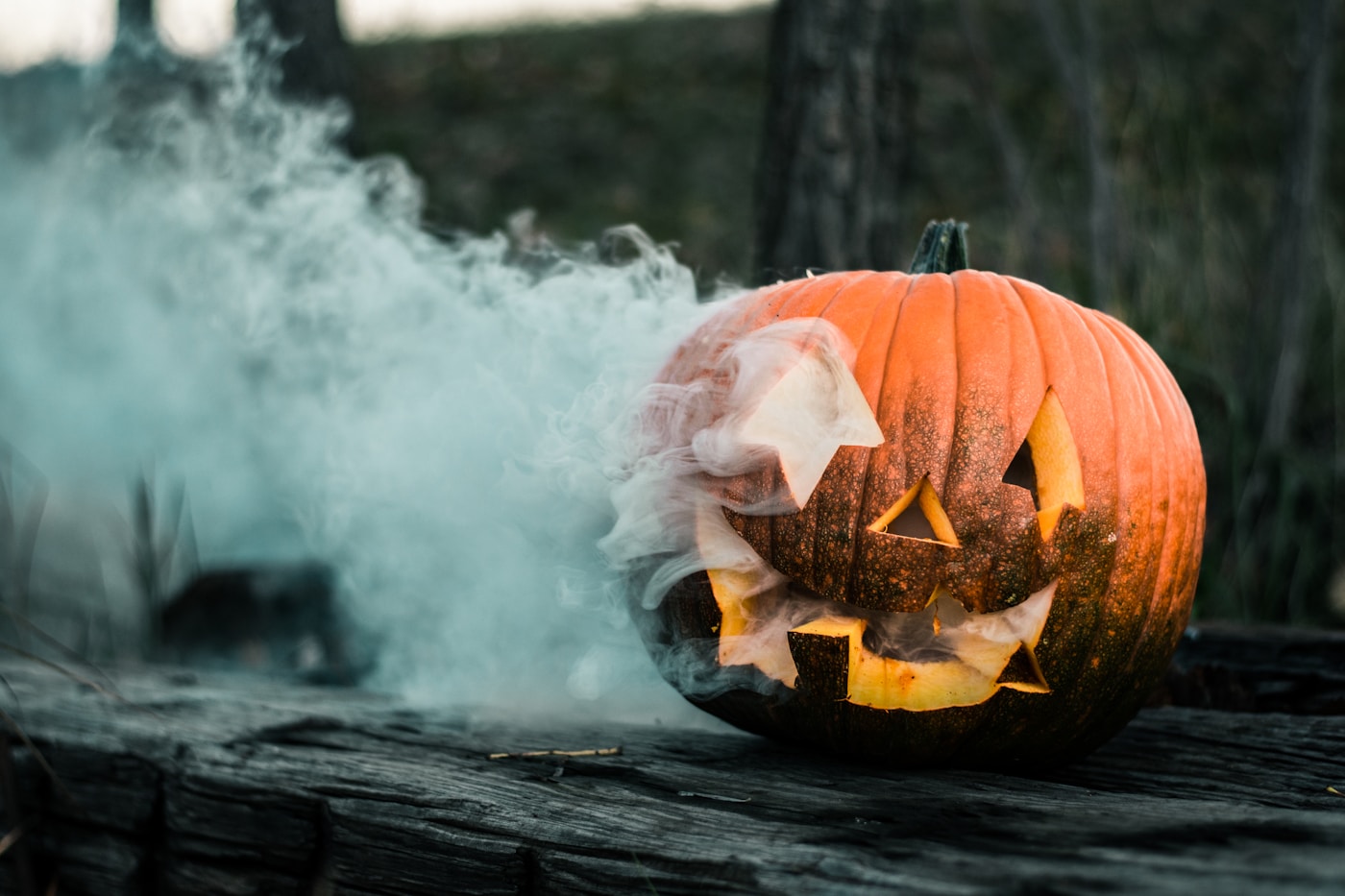 close up of pumpkin near wall